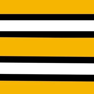 Meet your Posher, Shane